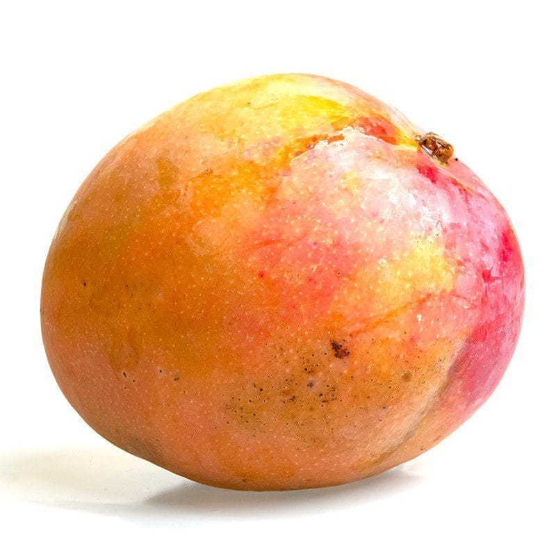 mango petacon para perros de raza